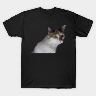 white cat green eyes T-Shirt